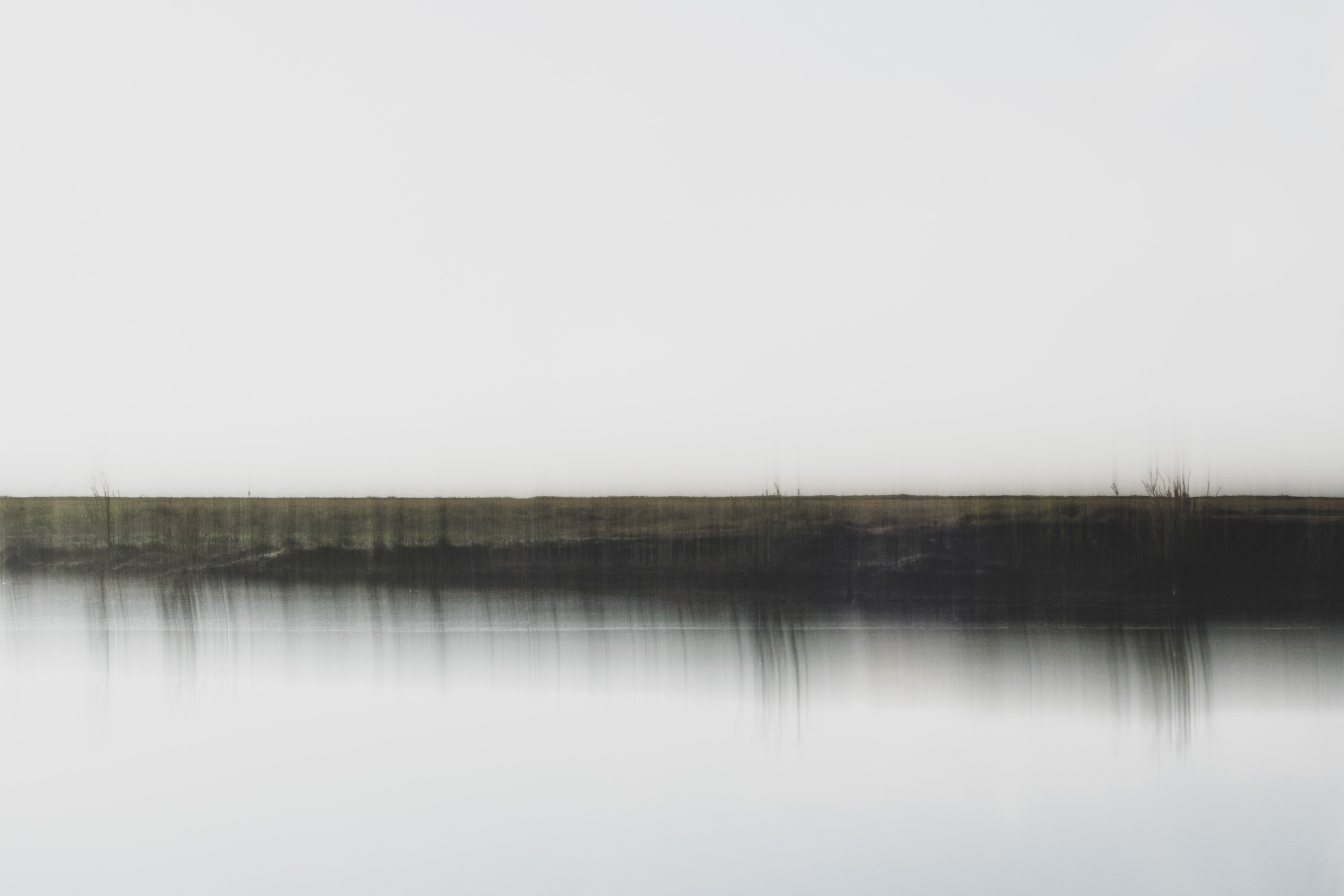 Nature as a Still Life, photograph 2 of 7