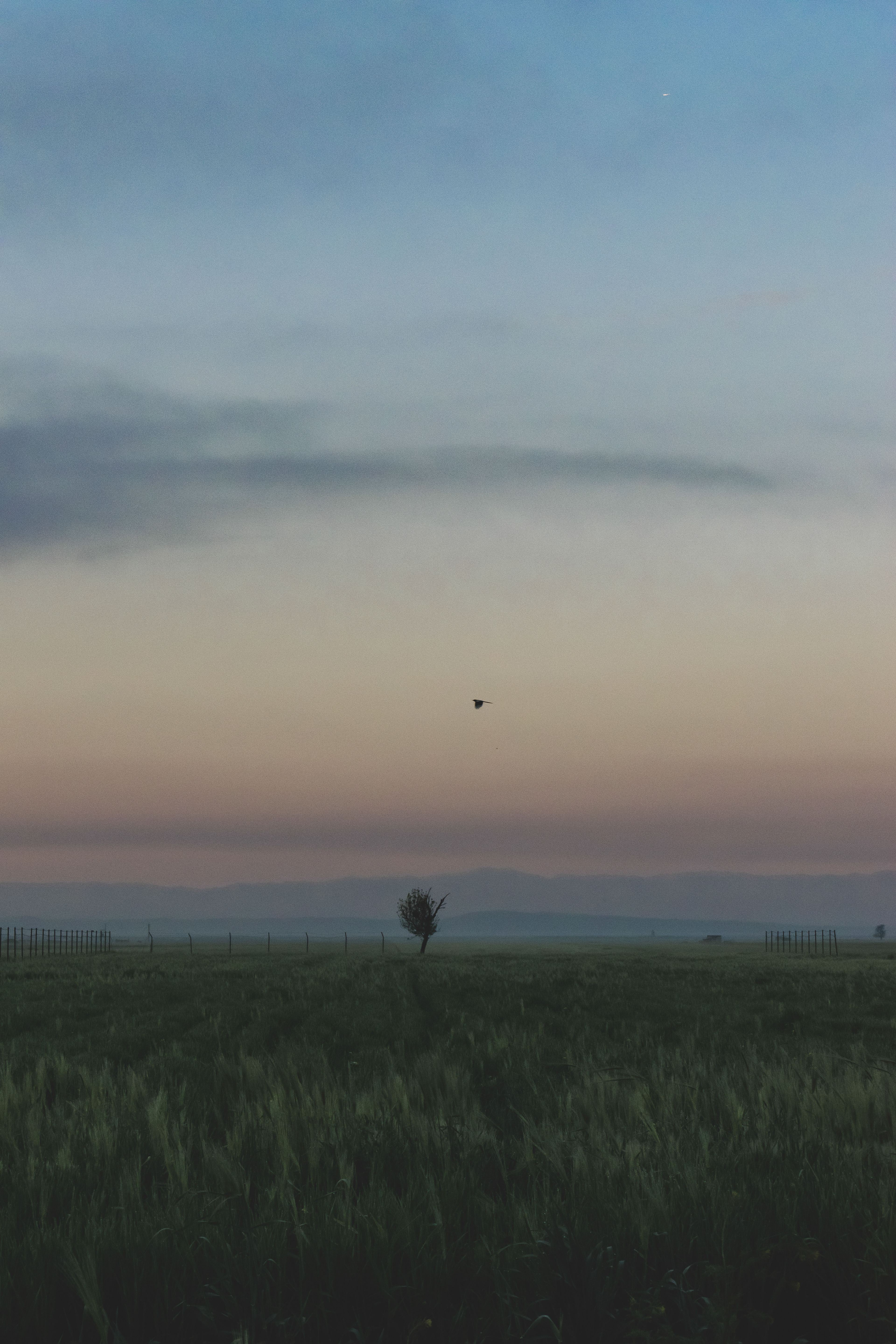 Nature as a Still Life, photograph 5 of 7