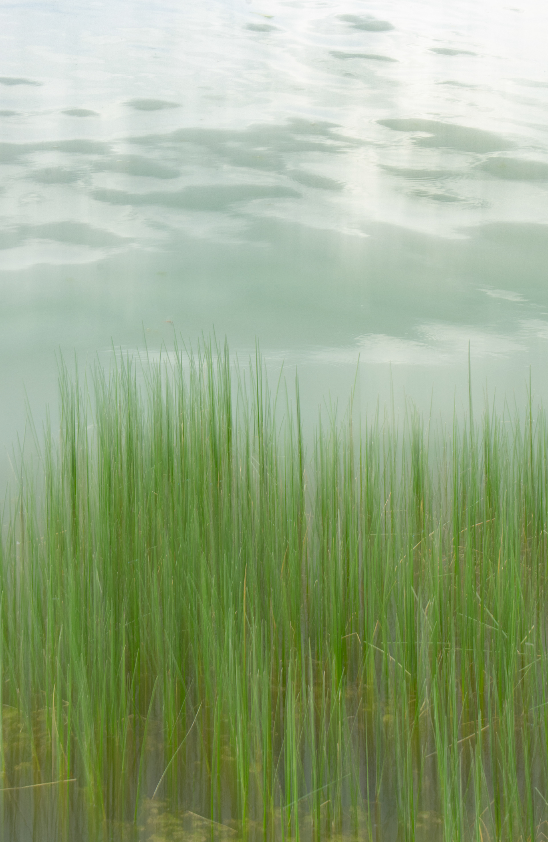 Nature as a Still Life, photograph 6 of 7